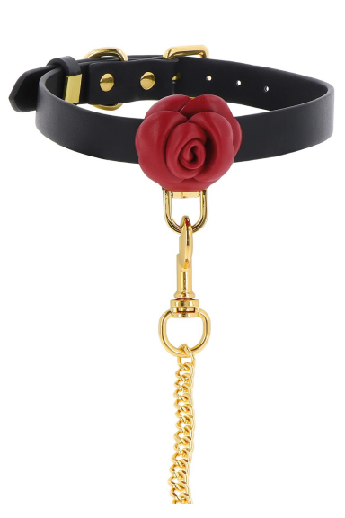 Laisse + Collier Roses Sauvages - Taboom