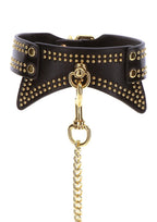 laisse + collier noirs avec clous  - taboom