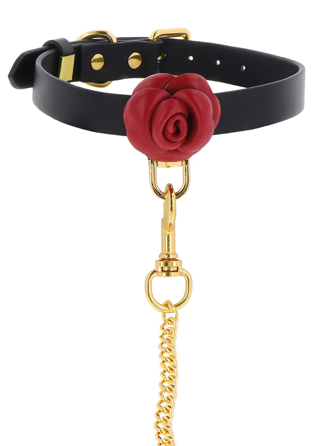 Laisse + Collier Roses Sauvages - Taboom