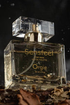 Parfum masculin aux phéromones pour une séduction irrésistible - Orgie